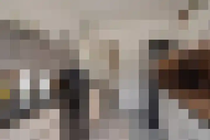Dr H.J. van Mooklaan 50 Rijswijk thumbnail 13