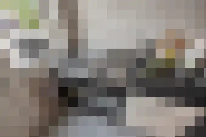 Dr H.J. van Mooklaan 50 Rijswijk thumbnail 15