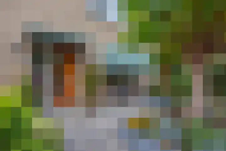 Dr H.J. van Mooklaan 50 Rijswijk thumbnail 6