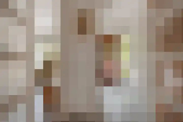 Dr H.J. van Mooklaan 50 Rijswijk thumbnail 7