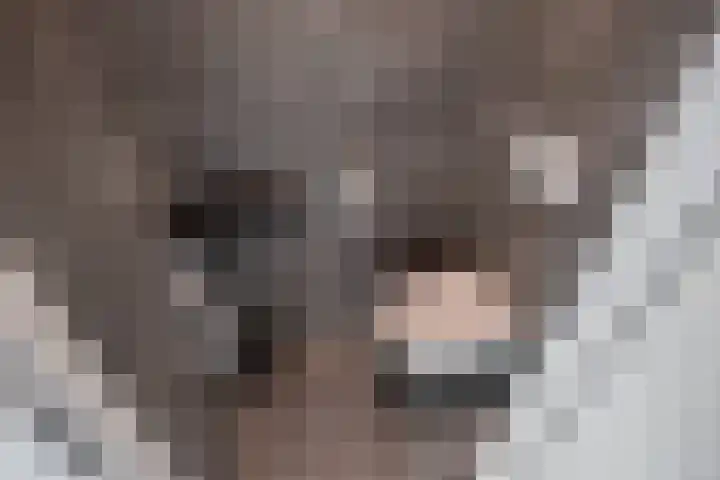 Dr H.J. van Mooklaan 50 Rijswijk thumbnail 9