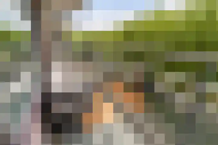Dr H.J. van Mooklaan 519 Rijswijk thumbnail 10