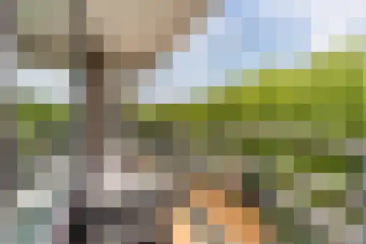 Dr H.J. van Mooklaan 519 Rijswijk thumbnail 11
