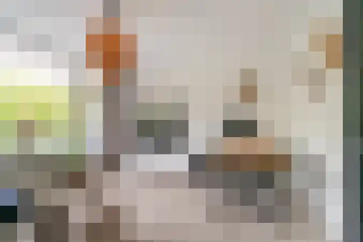 Dr H.J. van Mooklaan 519 Rijswijk thumbnail 9