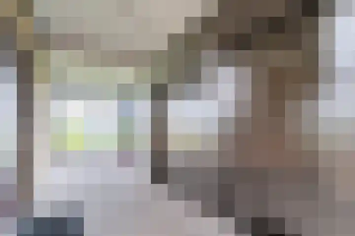 Dr H.J. van Mooklaan 583 Rijswijk thumbnail 26