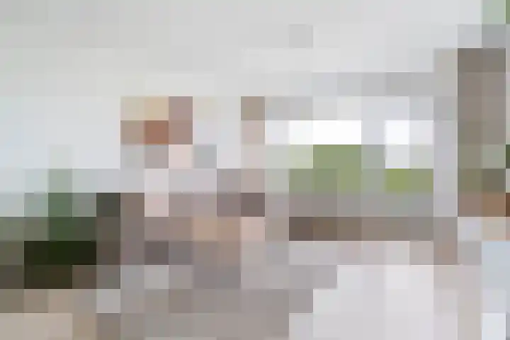 Dr H.J. van Mooklaan 583 Rijswijk thumbnail 4
