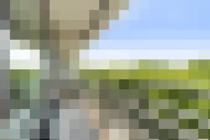 Dr H.J. van Mooklaan 583 Rijswijk thumbnail 5