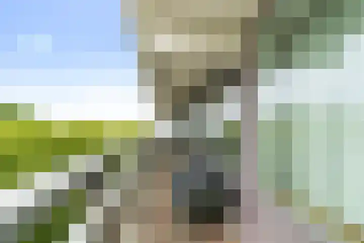 Dr H.J. van Mooklaan 583 Rijswijk thumbnail 7