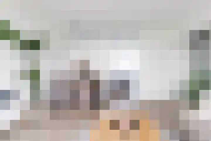 Dr H.J. van Mooklaan 583 Rijswijk thumbnail 9