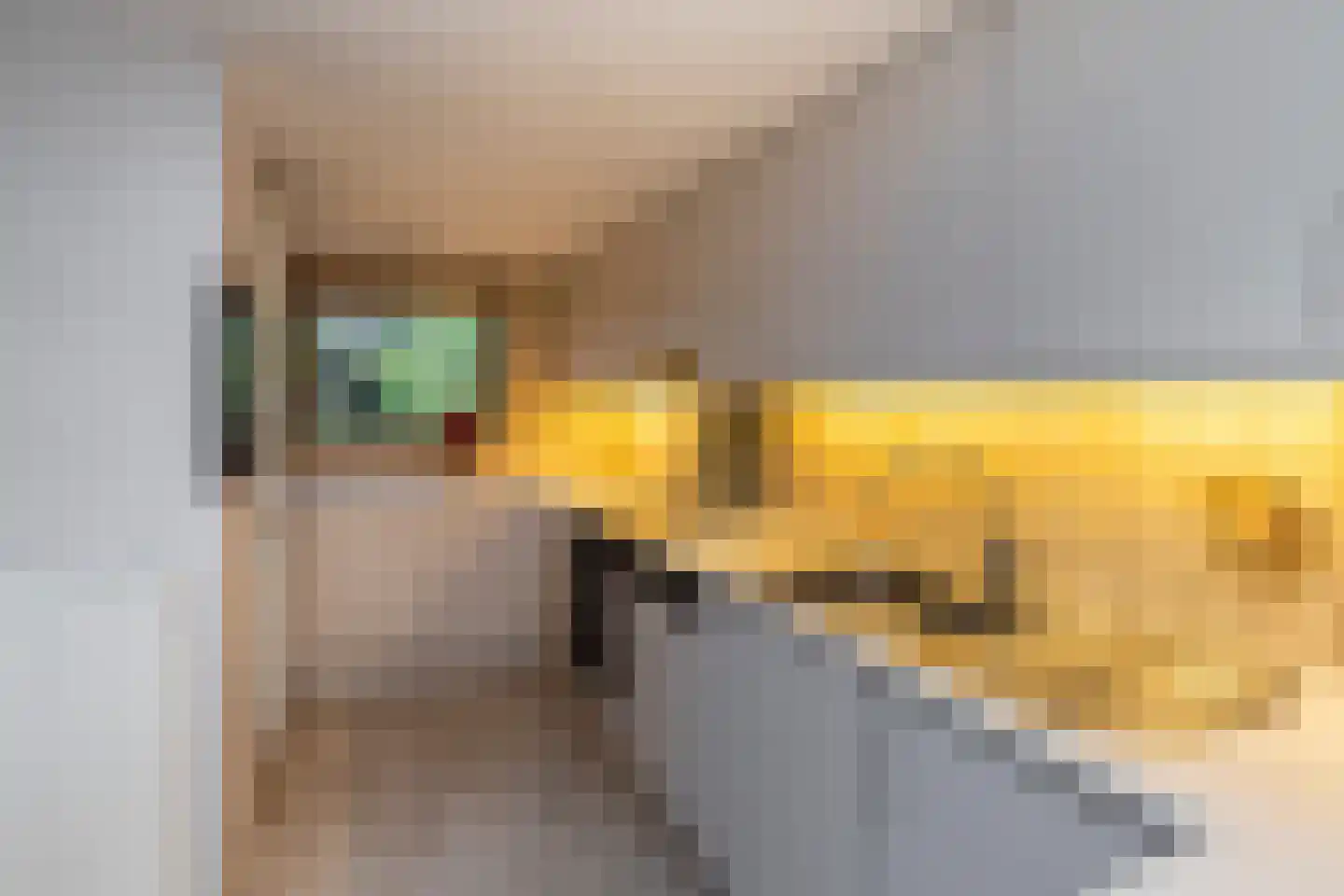 Dr H.J. van Mooklaan 95 Rijswijk thumbnail 17