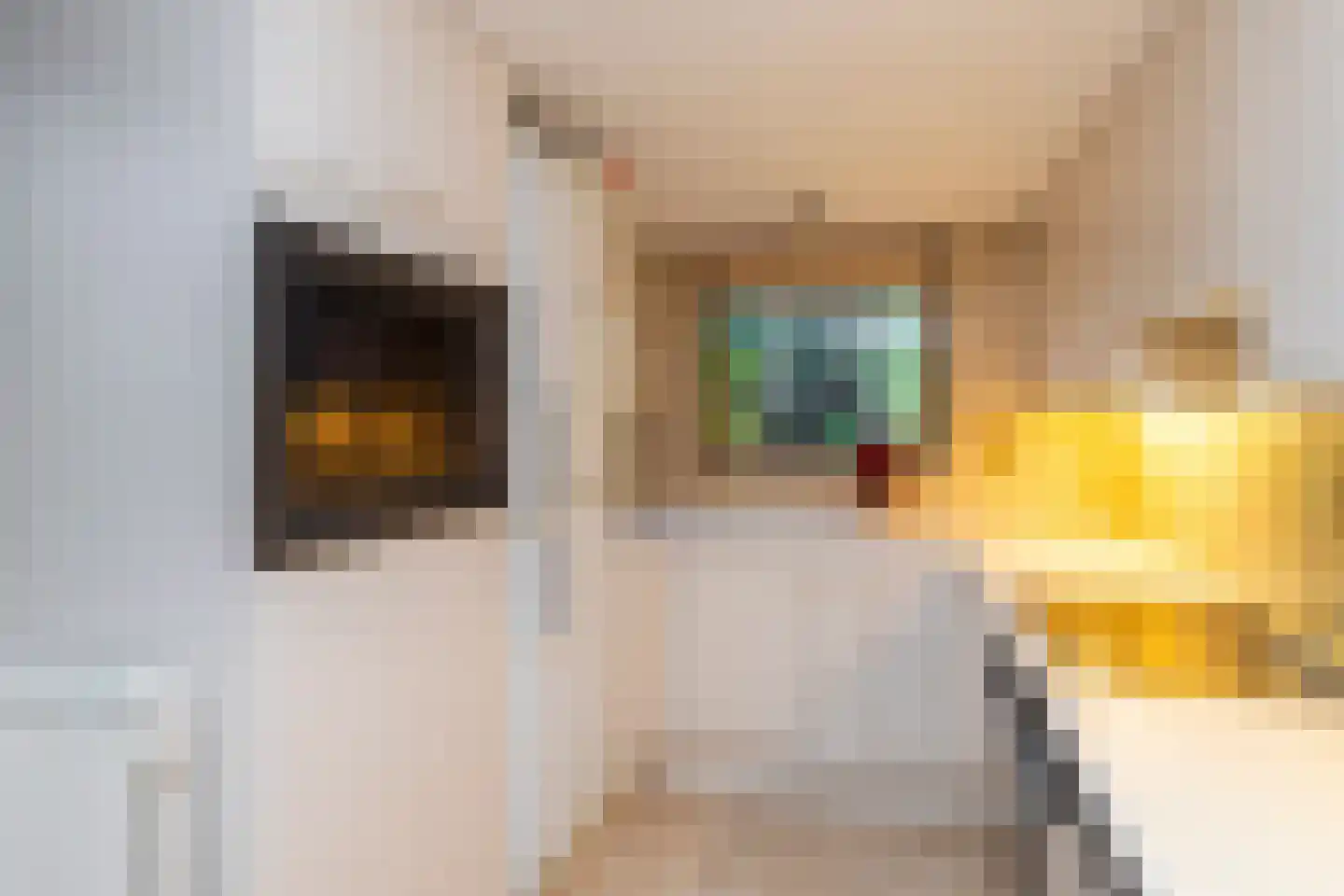 Dr H.J. van Mooklaan 95 Rijswijk thumbnail 18
