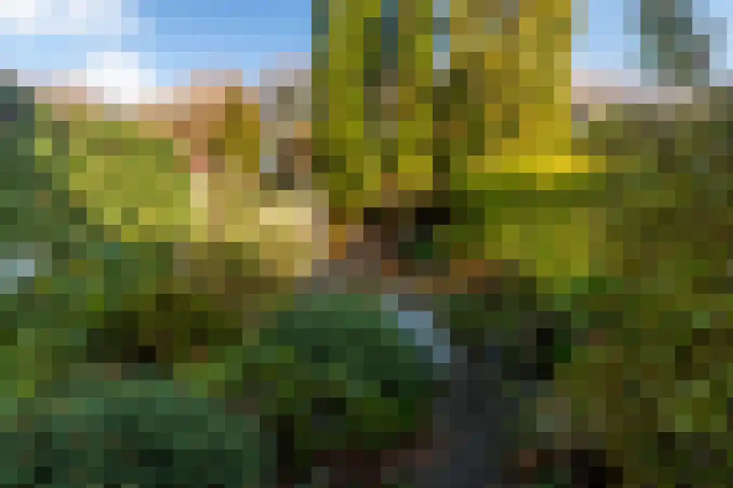 Dr H.J. van Mooklaan 95 Rijswijk thumbnail 20
