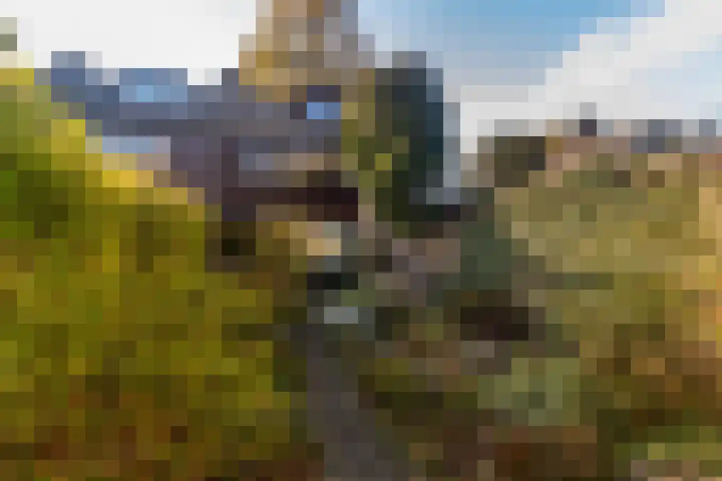Dr H.J. van Mooklaan 95 Rijswijk thumbnail 4