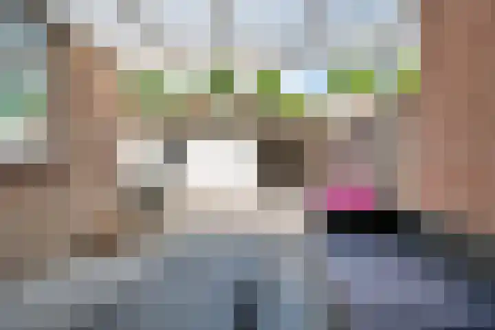 Dr. H. Mollerstraat 28 Valkenswaard thumbnail 18