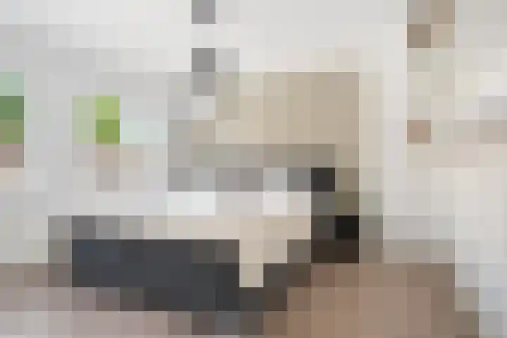 Dr. H. Mollerstraat 28 Valkenswaard thumbnail 22