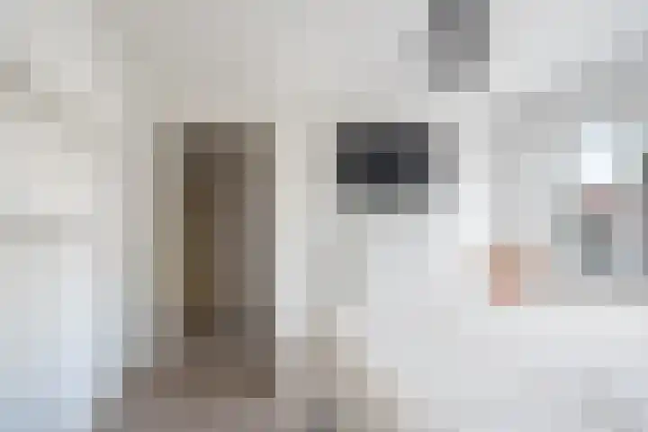 Dr. H. Mollerstraat 28 Valkenswaard thumbnail 23