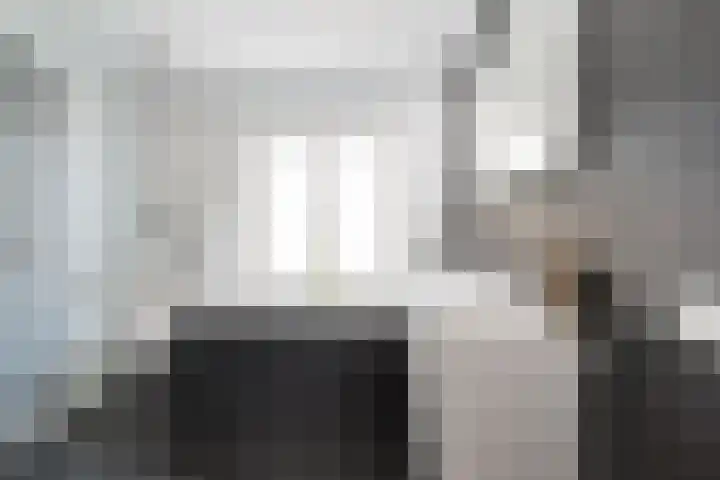 Dr. H. Mollerstraat 28 Valkenswaard thumbnail 27