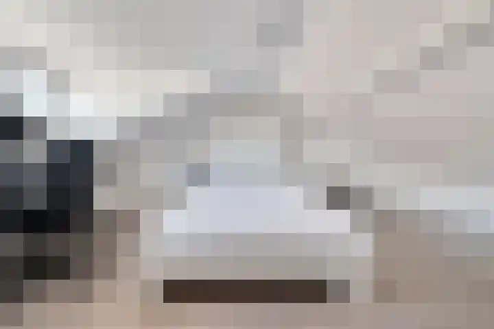 Dr. H. Mollerstraat 28 Valkenswaard thumbnail 31