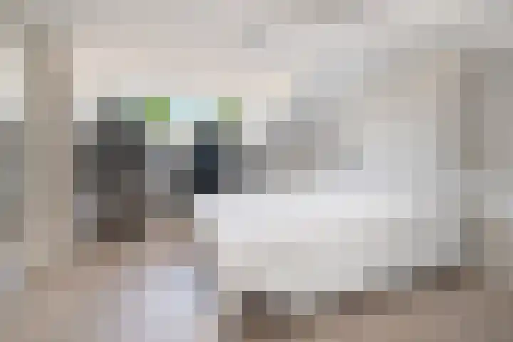 Dr. H. Mollerstraat 28 Valkenswaard thumbnail 32