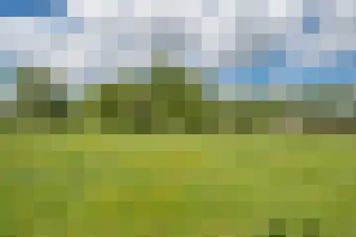 Dr. H. Mollerstraat 28 Valkenswaard thumbnail 33