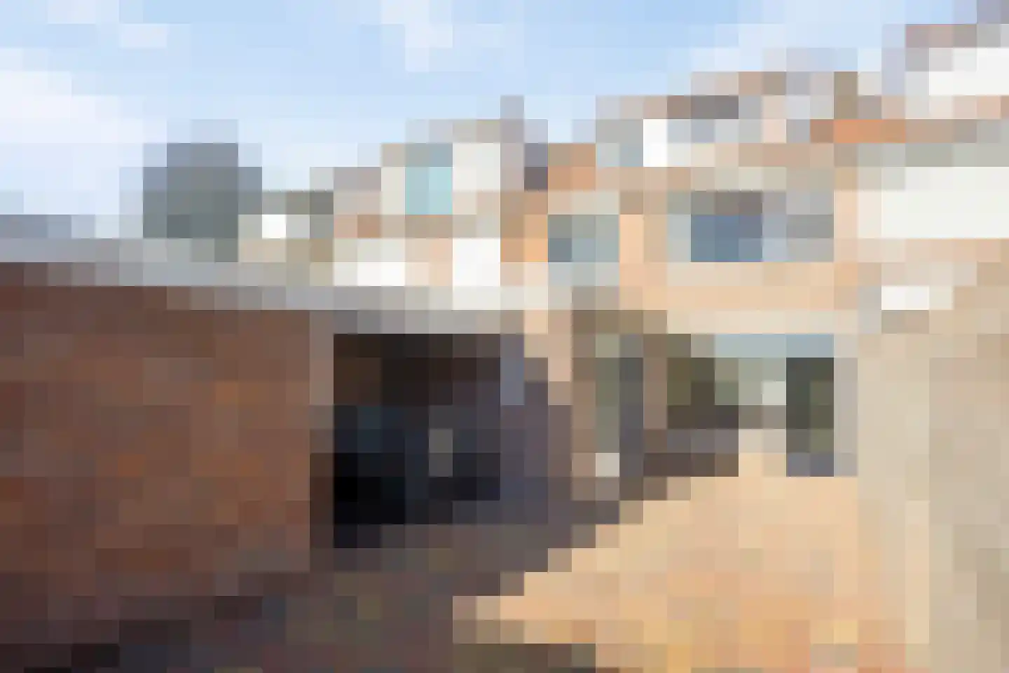 Dr. H. Mollerstraat 38 Best thumbnail 6
