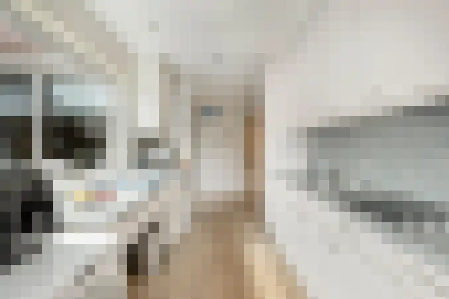 Dr. H. Mollerstraat 44 Best thumbnail 12