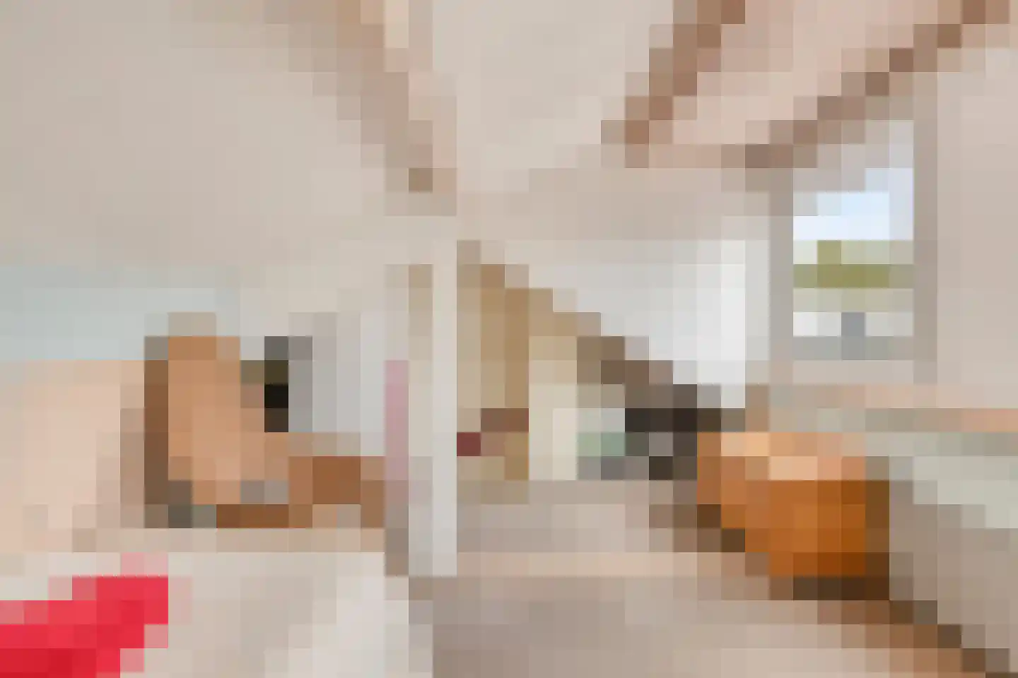 Dr. H. Mollerstraat 44 Best thumbnail 18