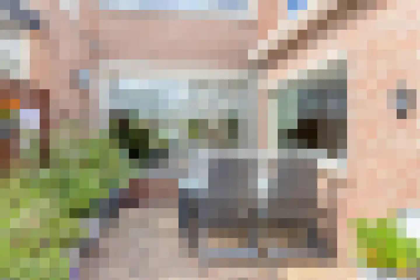 Dr. H. Mollerstraat 44 Best thumbnail 26