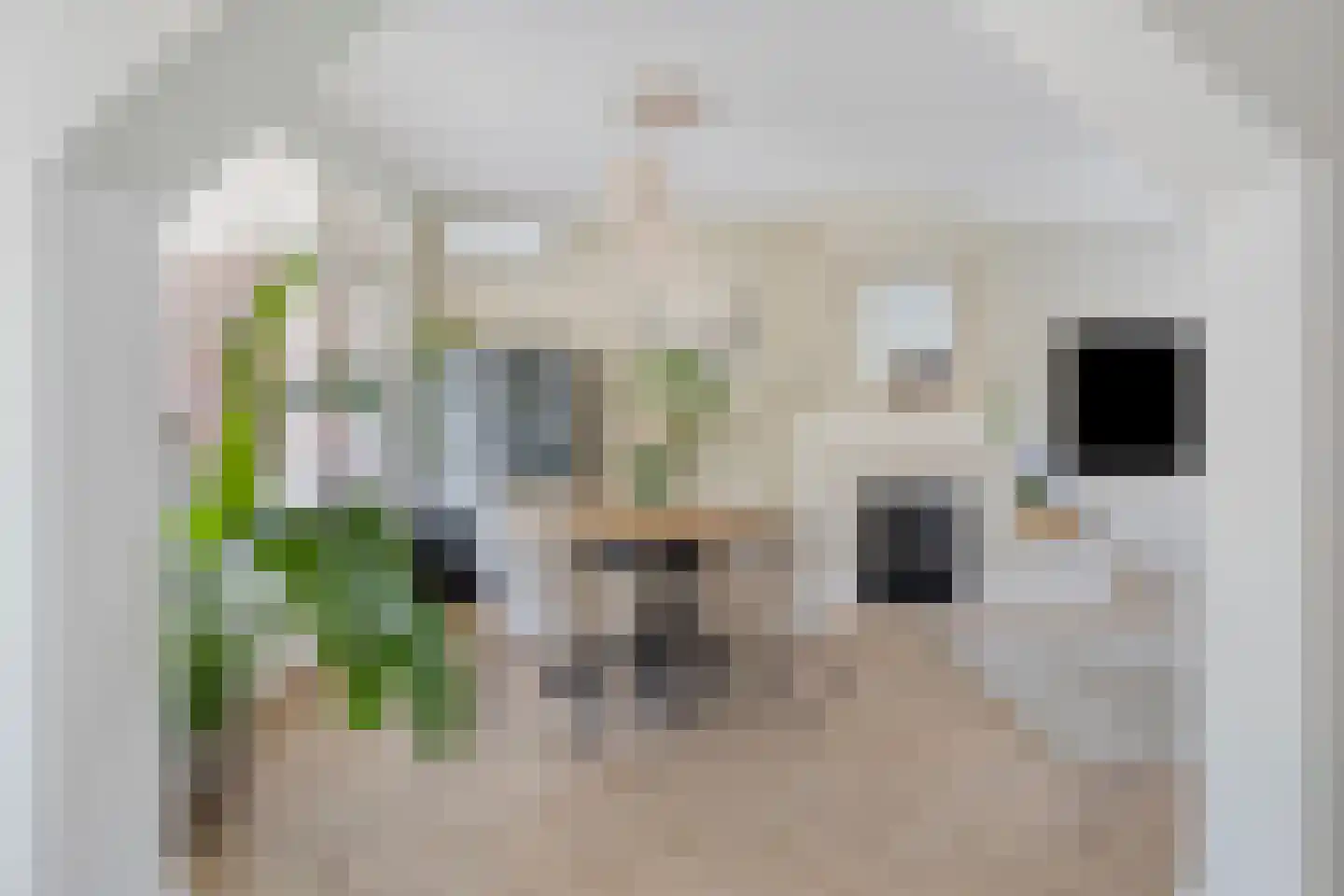Dr. H. Mollerstraat 5 Valkenswaard thumbnail 11