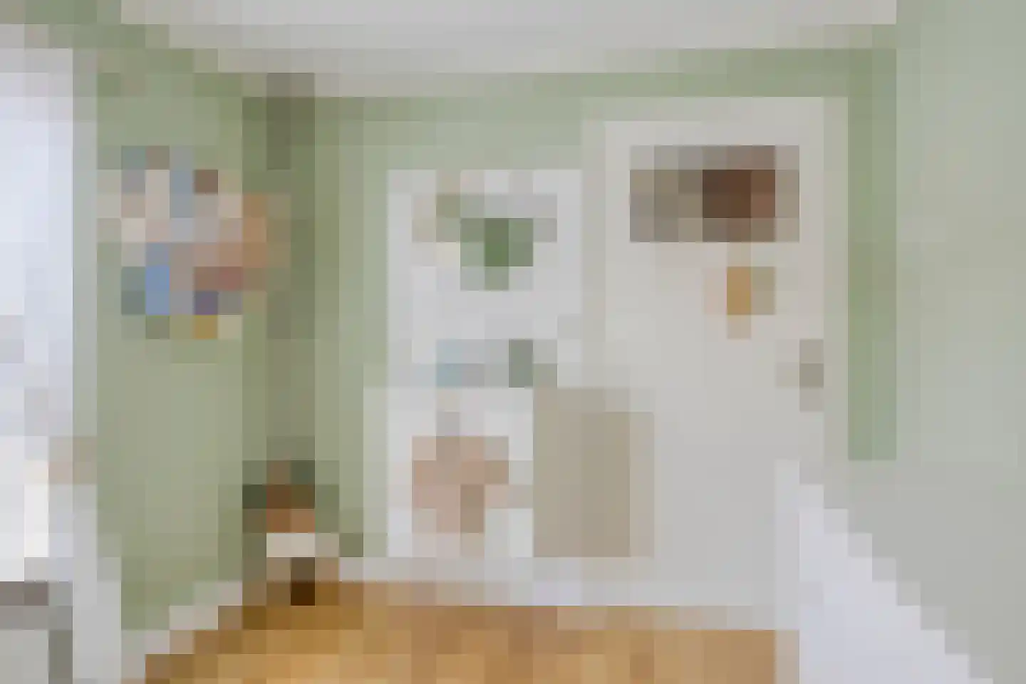 Dr. H. Mollerstraat 5 Valkenswaard thumbnail 23