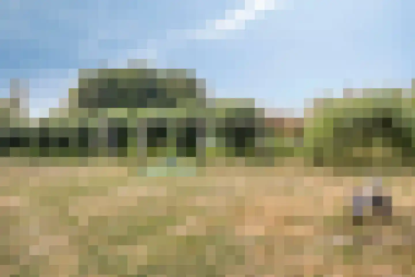 Dr. H. Mollerstraat 5 Valkenswaard thumbnail 31
