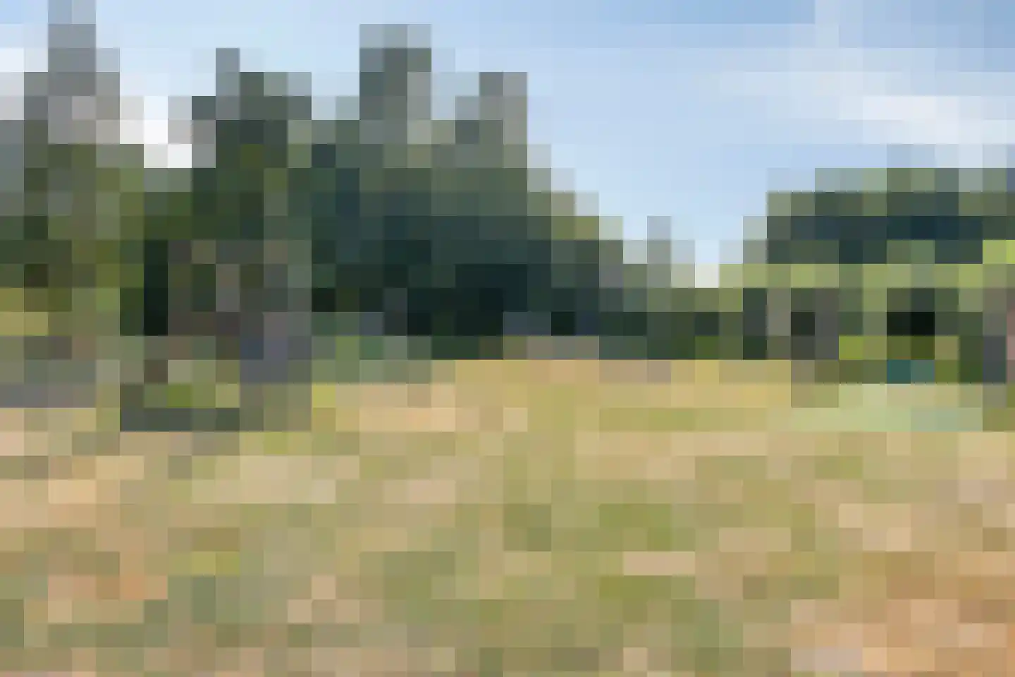 Dr. H. Mollerstraat 5 Valkenswaard thumbnail 32