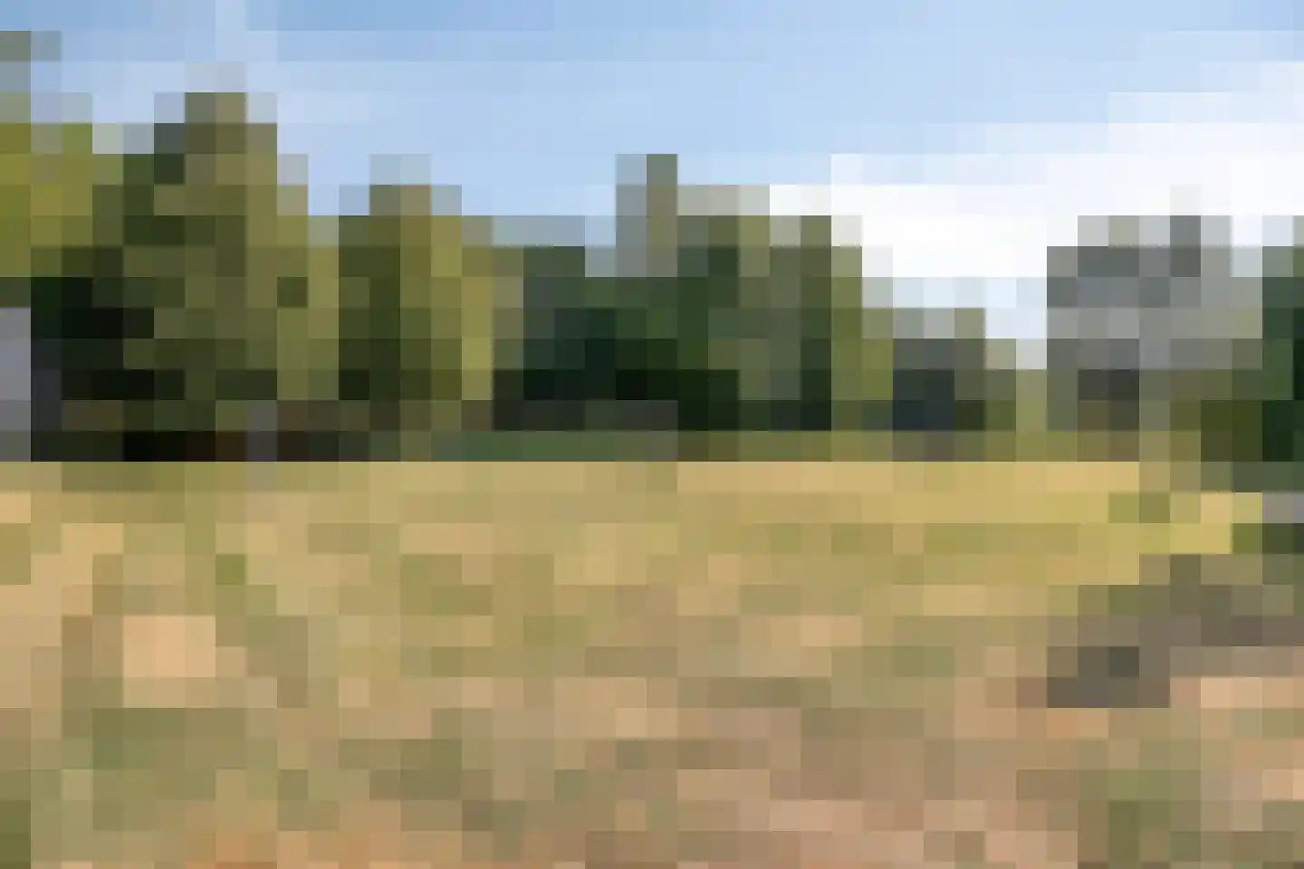 Dr. H. Mollerstraat 5 Valkenswaard thumbnail 33