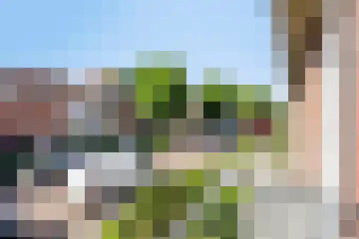 Dr. H. Mollerstraat 51 Best thumbnail 18