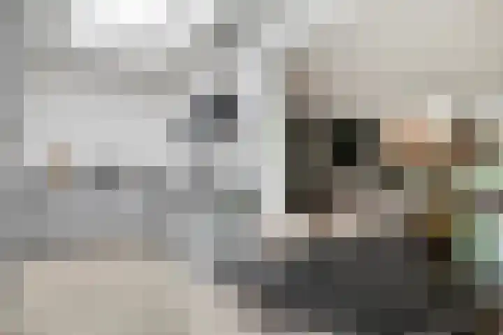 Dr. H.P. Heinekenstraat 2 's-Hertogenbosch thumbnail 13