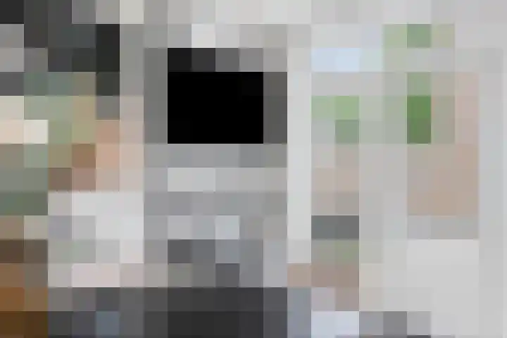 Dr. H.P. Heinekenstraat 2 's-Hertogenbosch thumbnail 14