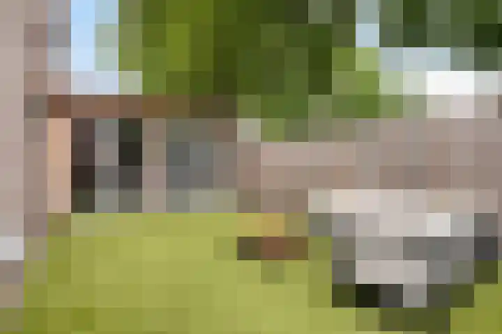Dr. H.P. Heinekenstraat 2 's-Hertogenbosch thumbnail 23