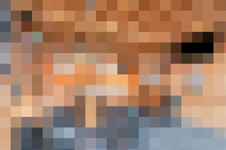Dr. H.P. Heinekenstraat 2 's-Hertogenbosch thumbnail 25