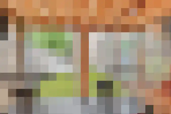 Dr. H.P. Heinekenstraat 2 's-Hertogenbosch thumbnail 27