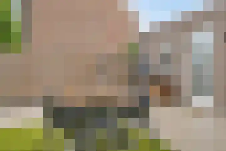 Dr. H.P. Heinekenstraat 2 's-Hertogenbosch thumbnail 28