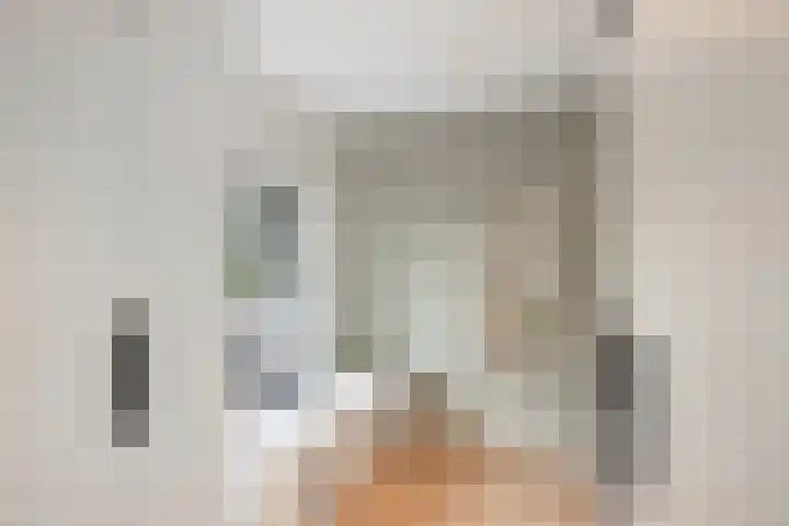 Dr. H.P. Heinekenstraat 2 's-Hertogenbosch thumbnail 42