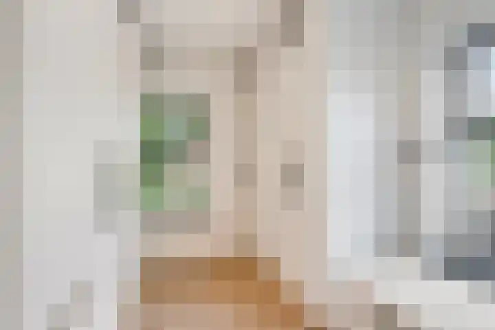 Dr. H.P. Heinekenstraat 2 's-Hertogenbosch thumbnail 43