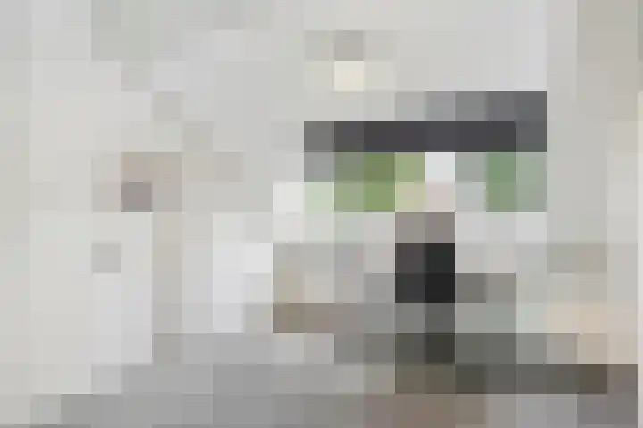 Dr. H.P. Heinekenstraat 2 's-Hertogenbosch thumbnail 46