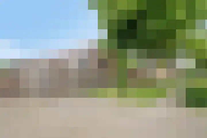 Dr. H.P. Heinekenstraat 2 's-Hertogenbosch thumbnail 48
