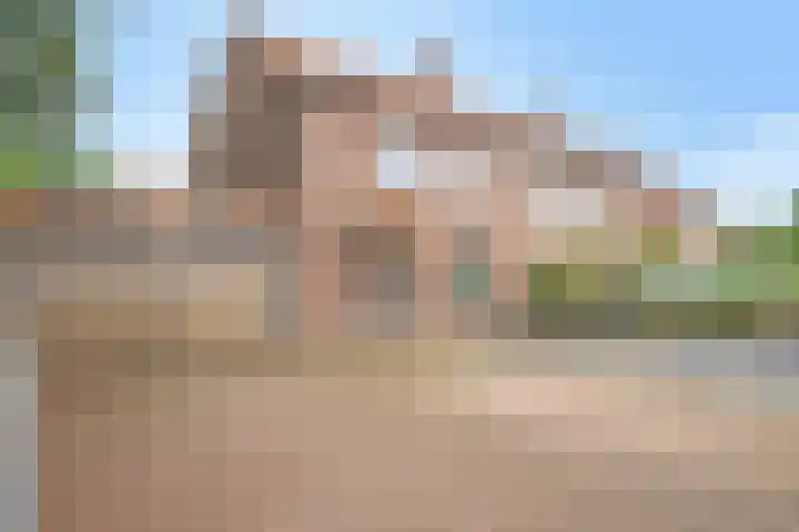 Dr. H.P. Heinekenstraat 2 's-Hertogenbosch thumbnail 51
