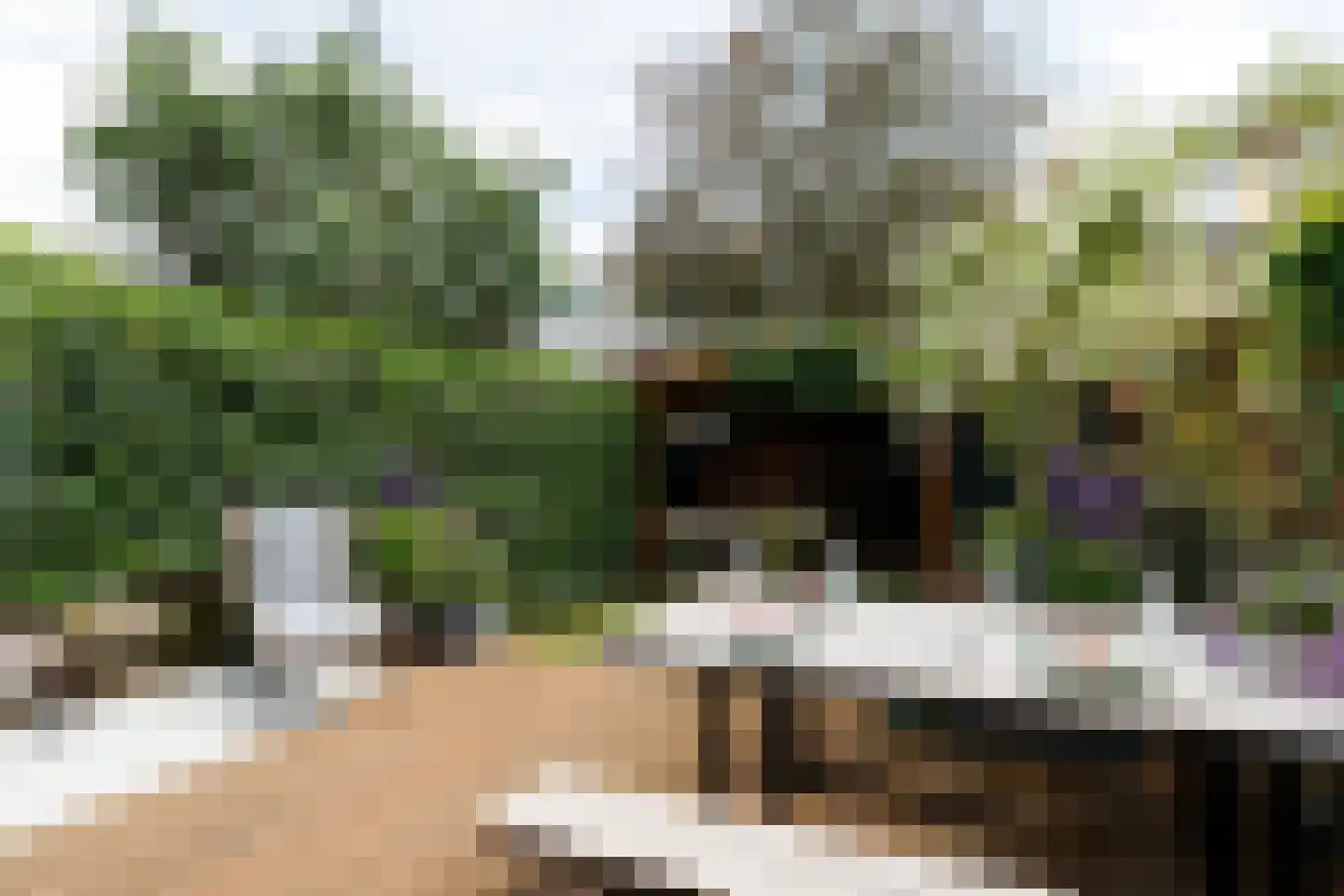 Dr. H. Th. s' Jacoblaan 32 Utrecht thumbnail 22