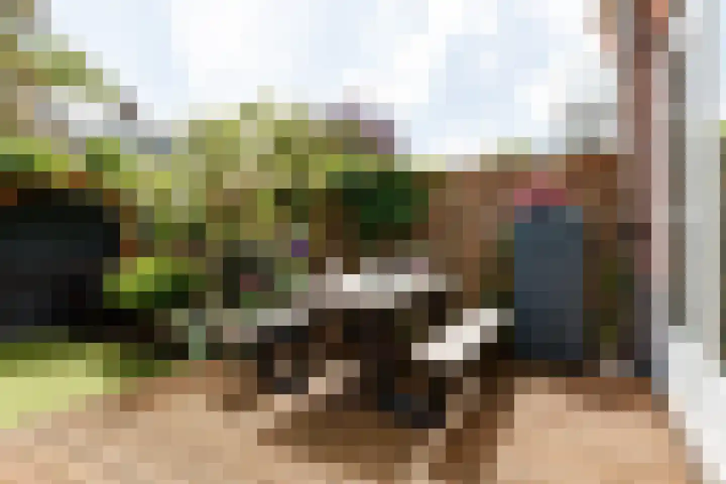Dr. H. Th. s' Jacoblaan 32 Utrecht thumbnail 25