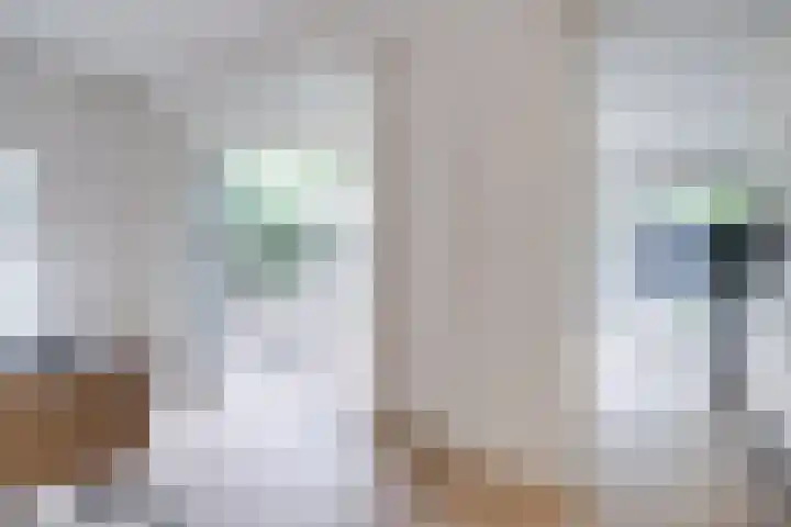 Dr. H. Th. s' Jacoblaan 61 Utrecht thumbnail 17