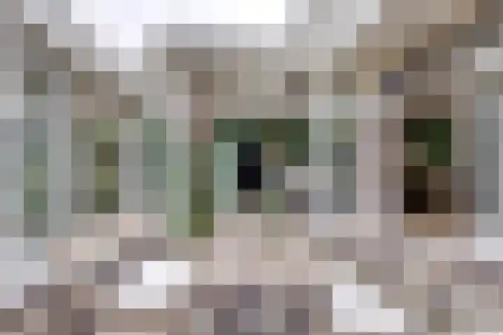 Dr. H. Th. s' Jacoblaan 61 Utrecht thumbnail 23