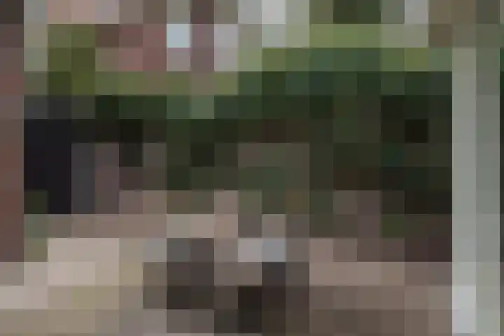Dr. H. Th. s' Jacoblaan 61 Utrecht thumbnail 24